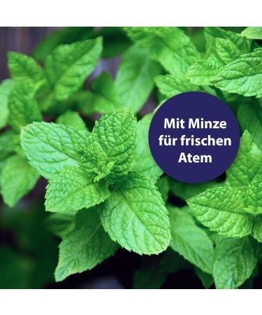 Canosept Dog Toothpaste Dental Gel 100g - Best Toothpaste for Dogs | Fresh Breath & Oral Care - Buy Online on GoSupps.com