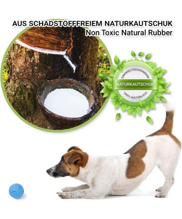 Petp l Durable Dog Ball - Natural Rubber 7cm - Bouncing Blue Toy for Active Dogs - Perfect for Playtime & Fetch - Buy Online on GoSupps.com