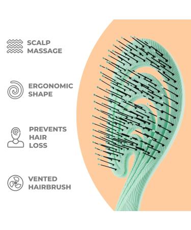 Ninabella Bio Hairbrush - Sustainable Detangler for Women Men & Children | Eco-Friendly No Tangle Hair Brush for Long & Wet Hair - Buy Online on GoSupps.com