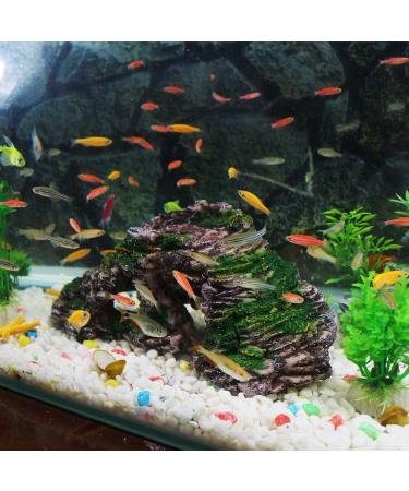 Buy Ctpeng Aquarium Cave Decoration for Betta & Cichlids - Slate Scape Ornament (23cm x 10.5cm x 7.2cm) | International Shipping Available - Buy Online on GoSupps.com