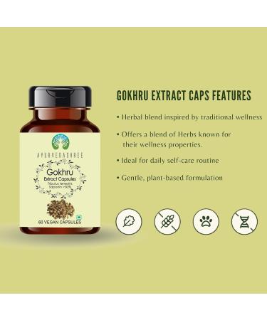 Gokhru Extract 500mg - 60 Vegetarian Capsules|Tribulus Terrestris| All Natural | 100% Vegan | Gluten-Free. Gokhru 60 Count (Pack of 1) - Buy Online on GoSupps.com