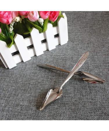 Folewr 5 Pcs Baby Bird Pointed Feeding Spoon Stainless Steel Milk Medicine Parrot Feeder for All Baby Bird Peony Cockatiel Household Pet Feeding Supplies - Buy Online on GoSupps.com