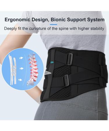 Back Brace for Lower Back Pain Relief | Breathable Support Belt for Men & Women | Sciatica Herniated Disc Scoliosis - X-Large - Buy Online on GoSupps.com