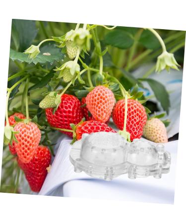 SEWOART 1 Set Shaping Clear Mold Vegetable DIY Molds Melon Stereotypes Plastic Forming Machine - Buy Online on GoSupps.com