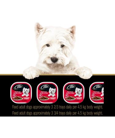CESAR Adult Wet Dog Food Classic Loaf in Sauce Entr es - Grilled Chicken - Porterhouse Steak 100g Tray (12 Pack) Chicken - Porterhouse 100 g (Pack of 12) - Buy Online on GoSupps.com