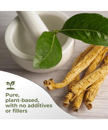 Gade Nutrition American Ginseng Extract Powder | Panax quinquefolius Leaf Non-GMO, Gluten-Free, Dairy Free | 250g (8.8 oz), 1000mg per Serving, 250 Servings | Mental and Physical Endurance | USA Made - Buy Online on GoSupps.com