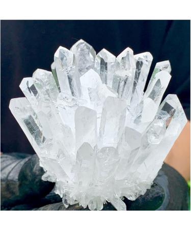 Natural White Phantom Quartz Crystal Cluster Samples Home Office Decoration Crystal Cluster (Size : 480-500) - Buy Online on GoSupps.com