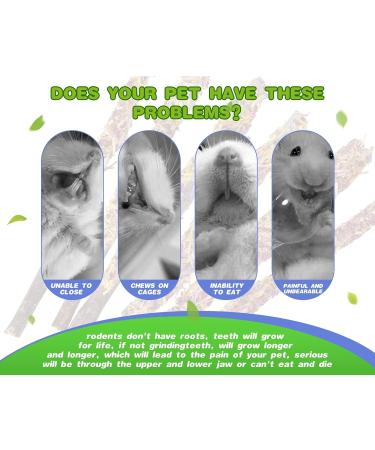 ABIZOO 18-Piece Rabbit Chew Toy Set | Natural Apple Sticks & Dental Care for Rabbits Hamsters & Guinea Pigs - Buy Online on GoSupps.com