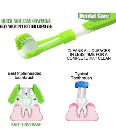 KTL 3 Pcs Dog Toothbrush Three Heads Toothbrush for Pet Teeth Care - Buy Online on GoSupps.com