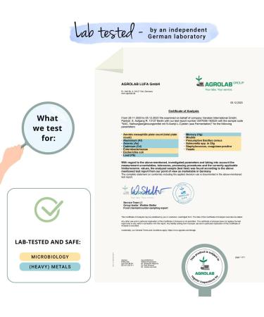 Vegavero NAC Supplement NAC N Acetyl Cysteine 600 mg - 120 Capsules - Buy Online on GoSupps.com