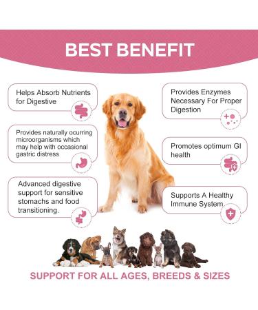 Premium Dog Probiotics 5BIL CFUs | 12 Strains Good Bacteria for Gut & Skin Health | Immune Support & Itch Relief | Salmon Flavored Chews for All Breeds & Ages - Buy Online on GoSupps.com