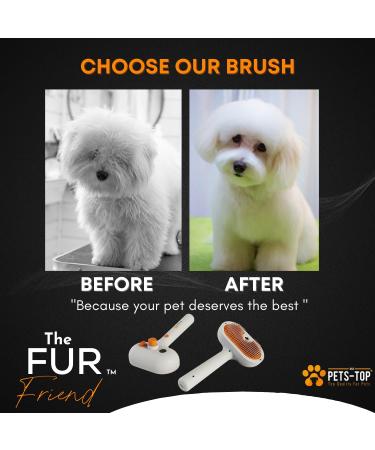 PETS-TOP 3 in 1 Spray Cat Brush for Long and Short Hair Cats Anti-Static with Water Tank, Self-Cleaning Button - Buy Online on GoSupps.com