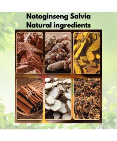 20 patchs base de ginseng - Notoginseng Salvia - Pour nuque dos cou muscles et sportifs - Gold Red Ginseng - Buy Online on GoSupps.com