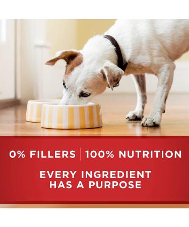 Purina ONE Beef & Brown Rice Dog Food 13oz (Pack of 12) - Nutritious Formula for Dogs - Buy Online on GoSupps.com