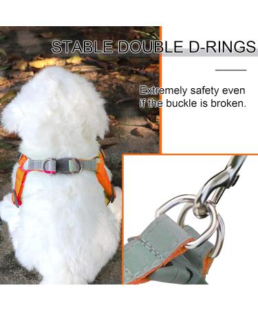 Rennaio No Pull Dog Harness & Leash Set - Adjustable Comfortable Chest Harness for Small & Medium Dogs - Orange (L) - Perfect for Training & Walking - Buy Online on GoSupps.com