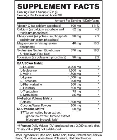 Evogen AminoKEM | Essential Amino Acid with Nitric Oxide & Betaine for Recovery & Volumizing | Pump Catalyst Much Punch - Buy Online on GoSupps.com