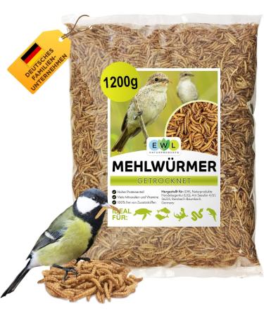 Flourworms dried 1.2kg 7800ml of insect snack for birds fish turtles rodents and reptiles bird feed wild birds all year round squirrel feed hedgehog feed mealworms 1.2 kg (1 Pack) - Buy Online on GoSupps.com