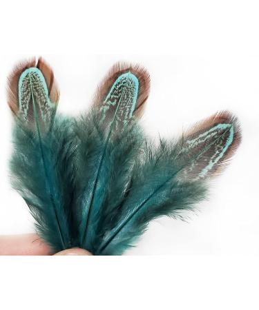 50 pcs Blue Natural Pheasant Plumage Feathers 2-3 Inches for Sewing Crafts & Decorating - Buy Online on GoSupps.com