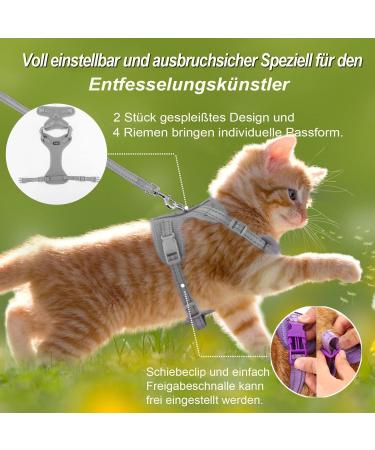 Buy Supet Cat Dishes & Line Set for Fleeing Kittens | Premium Cat Crockery - International Shipping Available - Buy Online on GoSupps.com