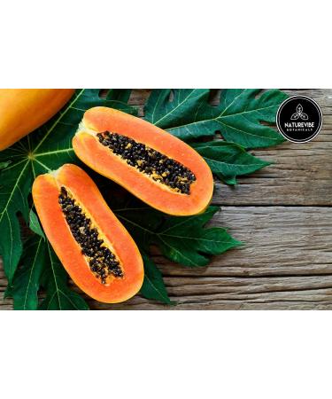 Naturevibe Botanicals Papaya Leaf Cut & Sifted - 1lb (16 oz) | Pure & Organic - Buy Online on GoSupps.com