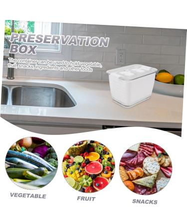 Mipcase Plastic Washing Basket Fridge Food Container 3pcs Fridge Food Drainage Box Convenient Practical Food Sealing Box Kitchen Food Box Vegetables Colanders Strainers - Buy Online on GoSupps.com