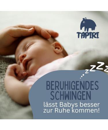 Premium Germany-Made Swing Spring Set for Baby Cradle & Hammock - Includes 2 Carabiners - Buy Online on GoSupps.com
