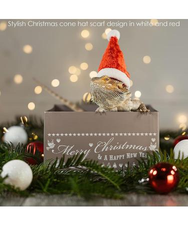 Petyoung Reptiles Hat & Scarf Set for Lizards Bearded Dragons Geckos - Christmas Hat Shell Red Leash & Dishes - Perfect Gift for Small Animals - Buy Online on GoSupps.com
