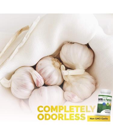 Odorless Garlic and Parsley Softgels by GL Nutrition | All-Natural Detox That Boosts Immunity & Metabolism Supports Heart Health & Cholesterol Levels 100:1 Extract | 100 Count - Buy Online on GoSupps.com