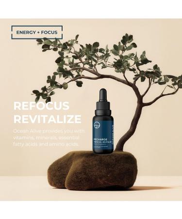 Activation Products Oceans Alive Marine Phytoplankton Brain Supplement 30ml - Enhances Memory, Focus, Energy for Men and Women - Buy Online on GoSupps.com