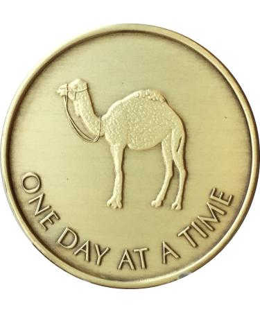 Camel One Day at A Time Bronze AA Medallion - Sobriety Affirmation Coin - Buy Online on GoSupps.com