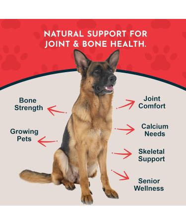 Animal Essentials Seaweed Calcium for Dogs & Cats - 12 oz (340g) - Natural Supplement for Healthy Bones - Buy Online on GoSupps.com