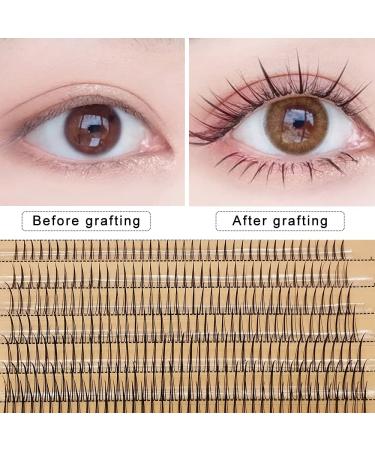Fishtail Eyelash Extensions Mix Length Single Cluster Fans - C Curl Super Natual Grafting Eyelashes, Dovetail Fly Eyelash / A/M Shape, Premade Spikes, 10D Lashes - 1 Count - Buy Online on GoSupps.com