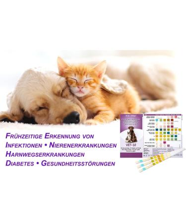 One+Step Urine Test Strips for Cats & Dogs - 15 Pack | Quick 10 Health Value Analysis | Fast & Accurate Veterinary Test - Buy Online on GoSupps.com