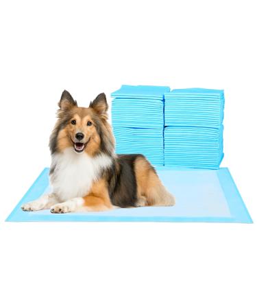 Scratchme Super Absorbent Waterproof Dog and Puppy Pet Training Pad Housebreaking Pet Pad 100 Count M 60x60cm Blue M 60x60cm 100 pieces