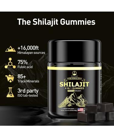 Eullsi Pure Shilajit Gummies for Men & Women Organic Ashwagandha Gummies 85+ Trace Minerals & 75% Fulvic Acid for Energy Stamina & Immune Support Vegan Non-GMO 60 Count - Buy Online on GoSupps.com