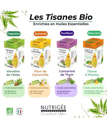 NUTRIGEE - Organic Chamomile Flower Herbal Tea - Relieves Nervous Agitation & Minor Sleep Disorders - Soluble Plant Concentrates - Small Grain & Orange Essential Oil - 20 Sachets - Buy Online on GoSupps.com