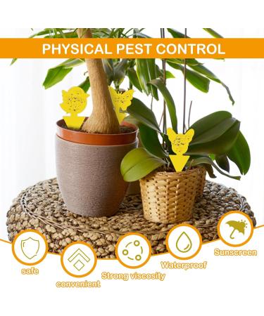 60-Piece Yellow Stickers for Fungus Gnats | Safe Odorless Adhesive Traps for Houseplants & Flowers - Effective Indoor & Outdoor Fly Control - Buy Online on GoSupps.com