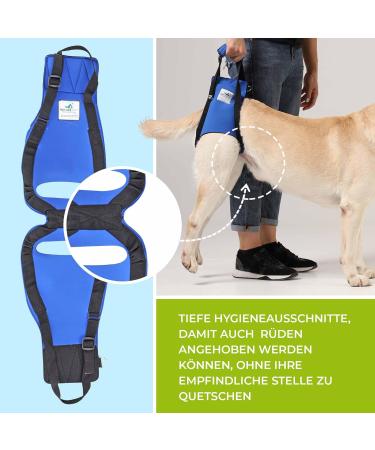 Nature PET Carrier for Dogs - XXL Black - Stair Aid with Carrying Strap for Older Sick or Post-Op Pets - Dog Lift Support - Buy Online on GoSupps.com
