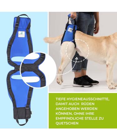 Nature PET Carrier for Dogs - Stair Aid with Carrying Strap Ideal for Older & Sick Dogs - Dog Lift (L Blue) | 1 Pack - Buy Online on GoSupps.com