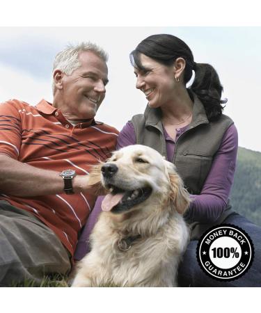 Swanson Rapid Immune Defense â€“ 30 Capsules for Enhanced Immunity & Health - Buy Online on GoSupps.com