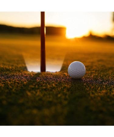 LED Light Up Night Golf Putting Cup - Windy City Novelties - Buy Online on GoSupps.com