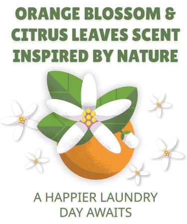 Botanical Origin Plant-based Laundry Detergent Orange Blossom and Citrus Leaves, 54 oz (72 loads) - Buy Online on GoSupps.com
