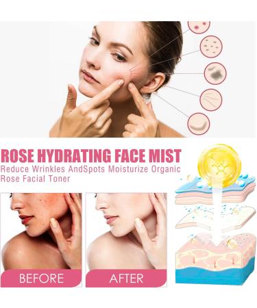 Organic Rose Water Toner Spray - Deep Hydration Pore Minimizing Anti-Aging Facial Mist for Fresh Skin - Buy Online on GoSupps.com