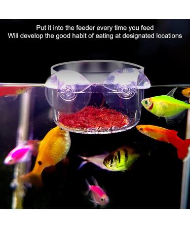 Vueinrg 8-Piece Aquarium Plant Pot Set - Decorative Glass Cups with Suction Cups for Shrimp Landscape Decor - Buy Online on GoSupps.com