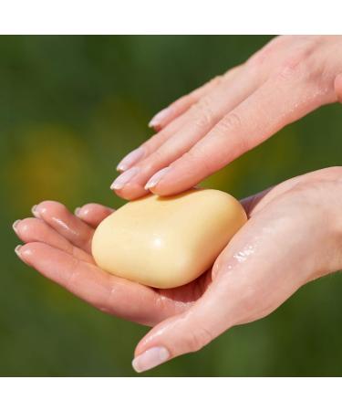 Buy Rosenrot Naturkosmetik Organic Body Butter with Avocado & Verbena - 70g for Dry & Sensitive Skin - Regenerates Nourishes & Soothes - International Shipping Available - Buy Online on GoSupps.com