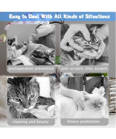 Adjustable Cat Collar for Post-Operative Protection | Halskrause Elbe for Cats & Kittens (Blauhai L - 5-9kg) - Buy Online on GoSupps.com