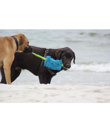 Dingo MOP 60cm Dog Toy - Multicolored Two Handle Agility & Training Toy for Dogs | Perfect for Apport Motivation Games - Buy Online on GoSupps.com