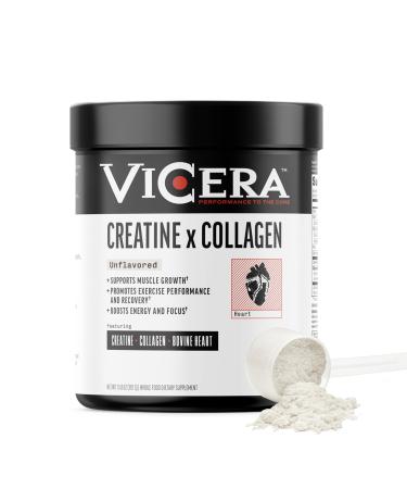 Creatine + Collagen Powder Unflavored Creatine Monohydrate and Collagen Supplement with Probiotics Gluten Free Non GMO Easy to Digest Formula 30 Servings 13.8 Oz Unflavored 13.8 Ounce (Pack of 1)
