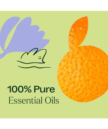 Plant Therapy Tranquil Essential Oil Blend - 100% Pure Peace & Calming Aromatherapy 10 mL - Natural Therapeutic Grade - Buy Online on GoSupps.com