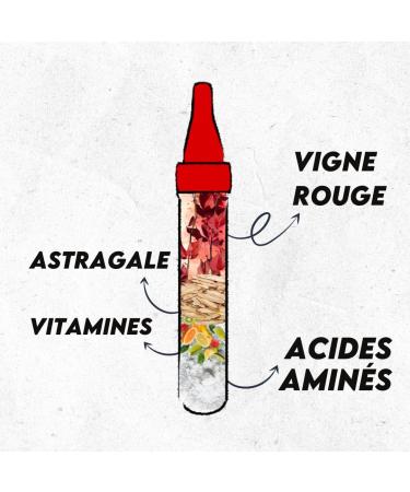 Vigne Rouge Astragale Arginine et B ta-Alanine - FITNESS SHOT Booster | Tonifie les muscles | De l'explosion pendant les efforts | Fabriqu en France. - Buy Online on GoSupps.com